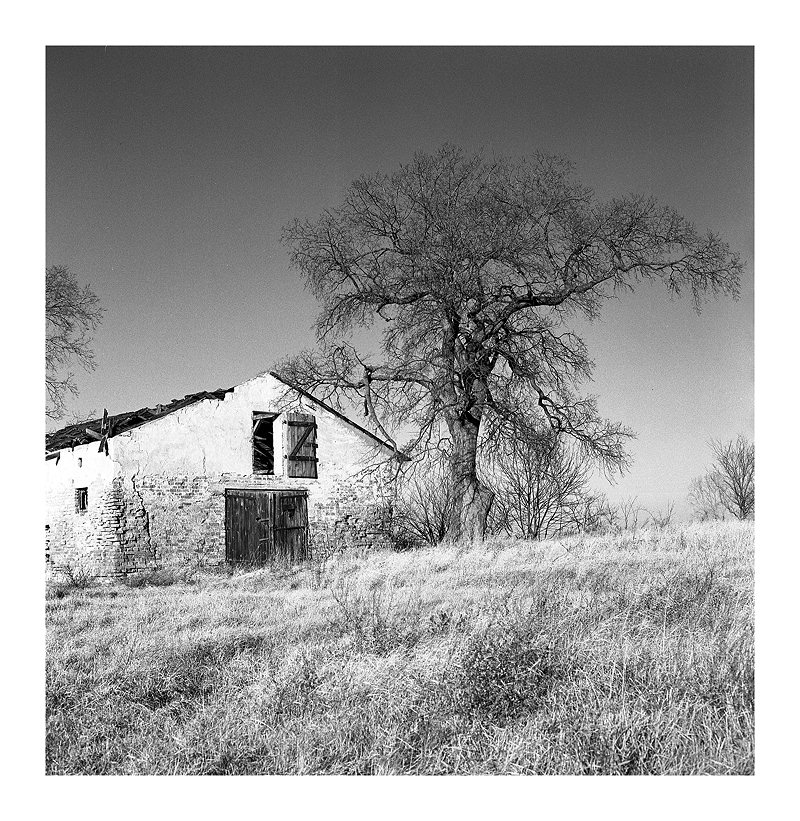 :::