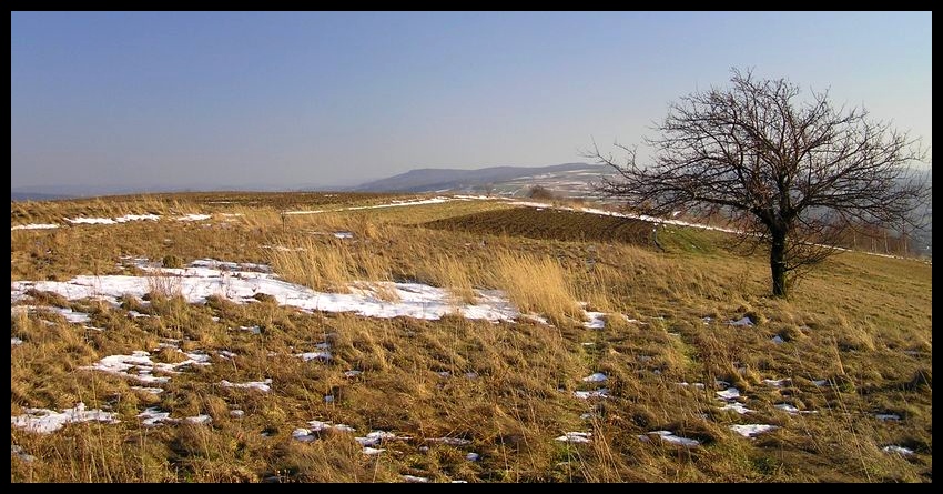 Zima (mało śnieżna)