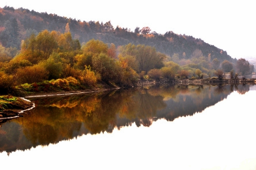 Lustereczko