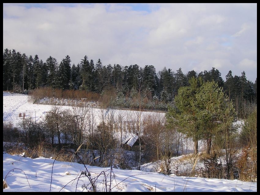 Zima