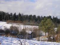 Zima