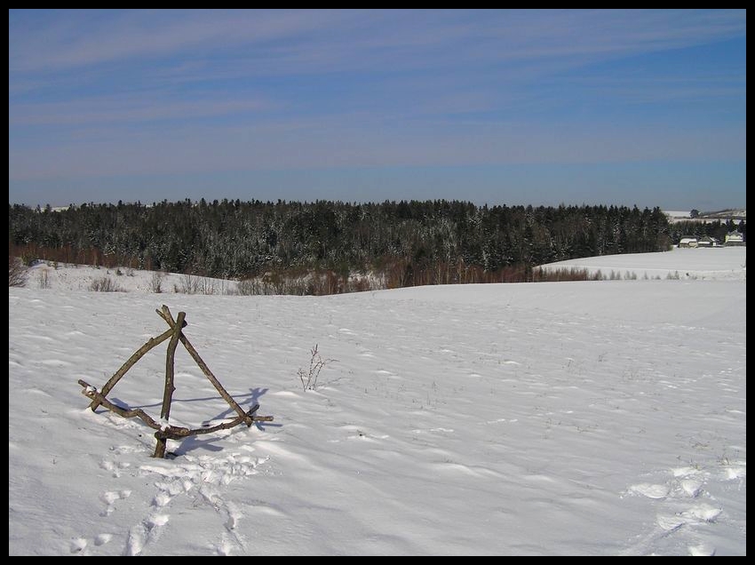 Zima