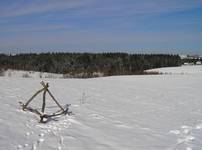 Zima