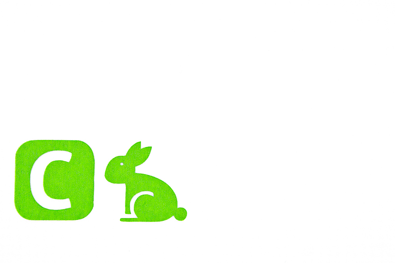 follow the rabbit