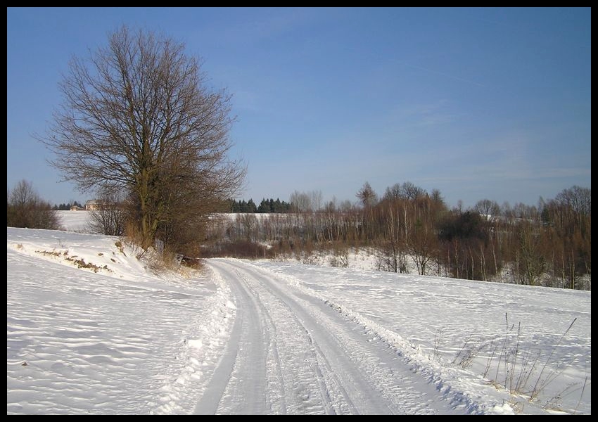 Zima
