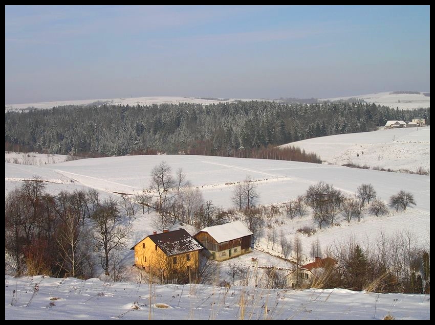 Zima