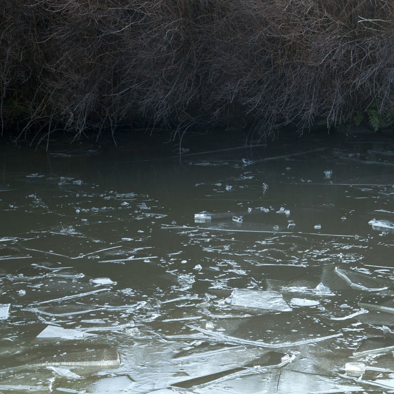 ice age I