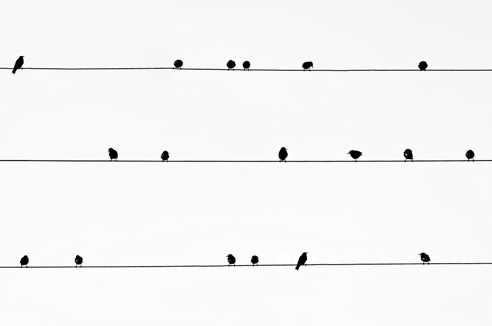 6./ 6./ 6./