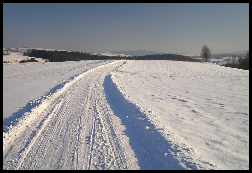 Zima
