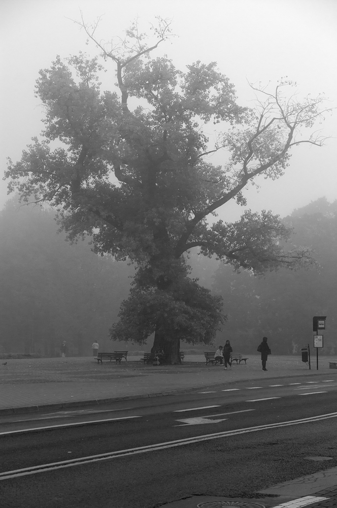 Lublin - ulica Krakowskie Przedmieście