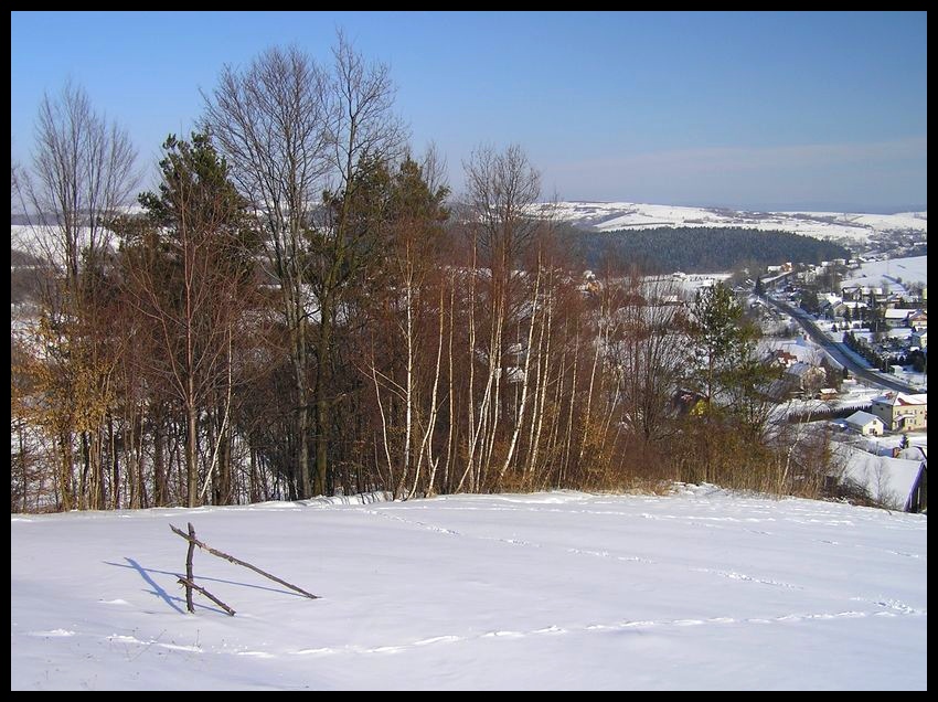 Zima