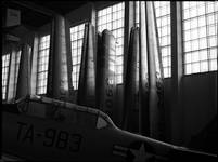 Wings