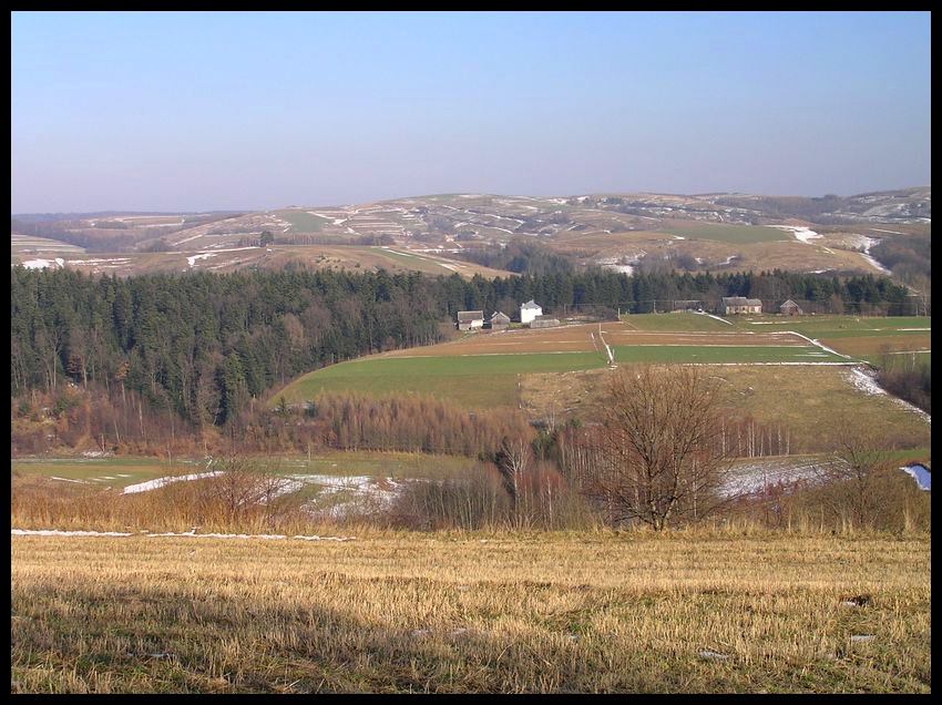 Zima (w odwrocie)