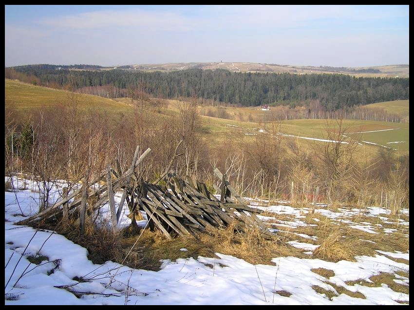 Przedwiośnie