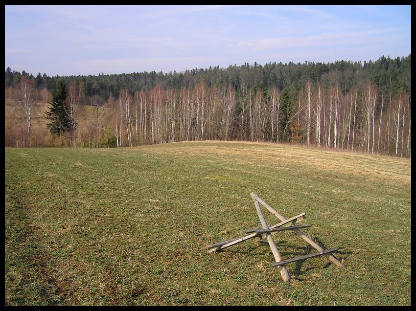 Przedwiośnie
