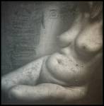 The Virgin Suicides z cyklu-Metamorfozy-