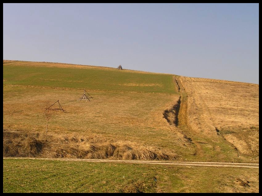 Wiosna