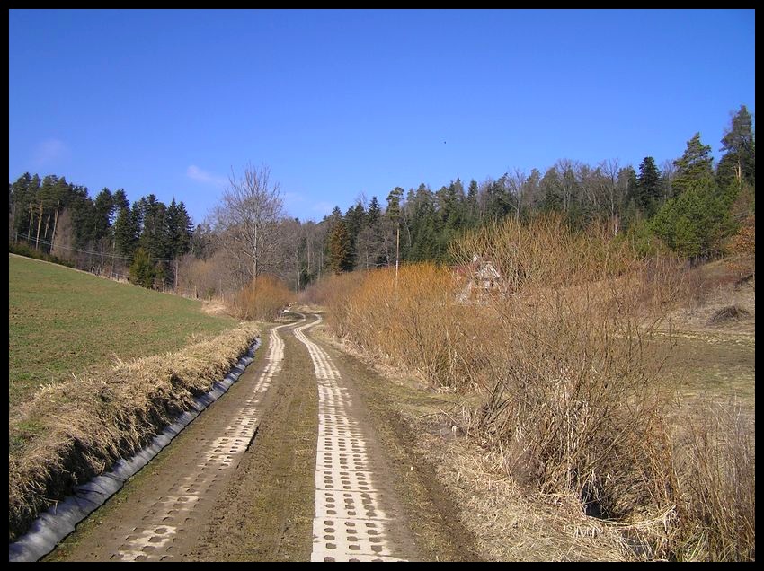 Wiosna