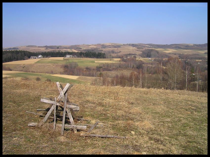 Wiosna