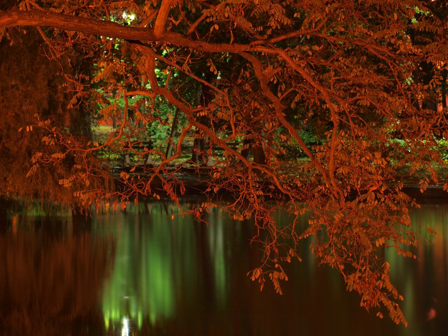 Park nocą