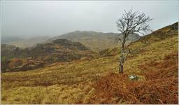 Glenfinnan,Highland, Scotland,