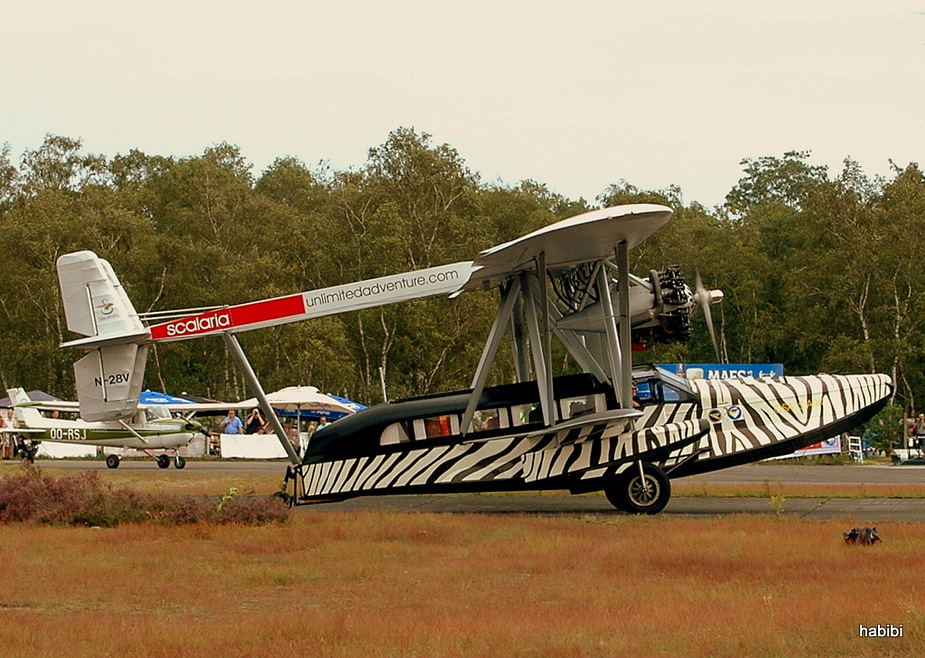 Zebra :)