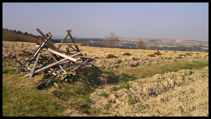 Wiosna