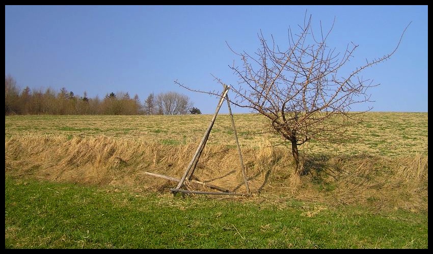 Wiosna