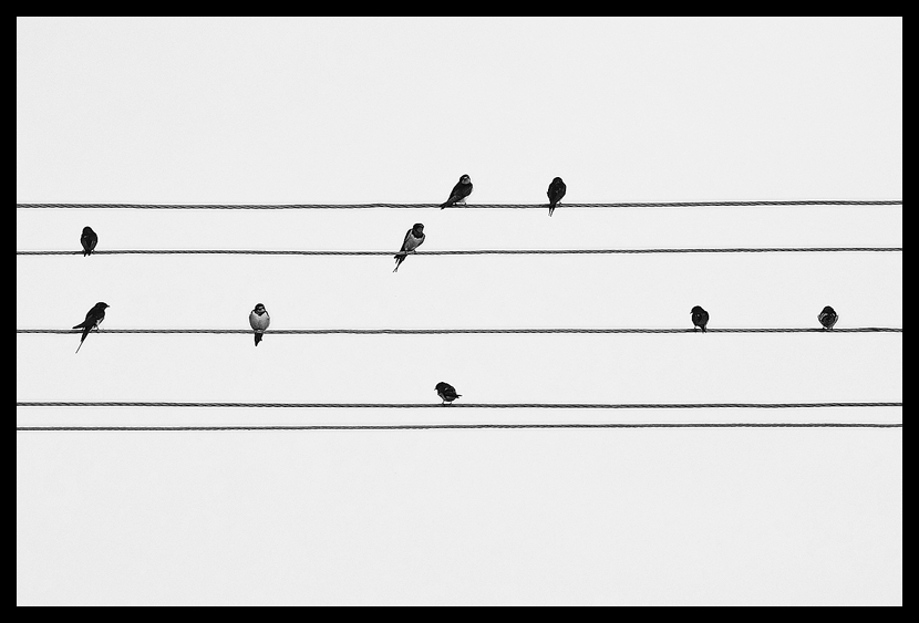 ... jaka to melodia ;)