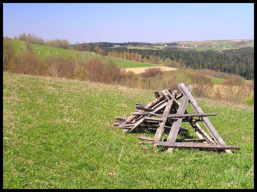 Wiosna