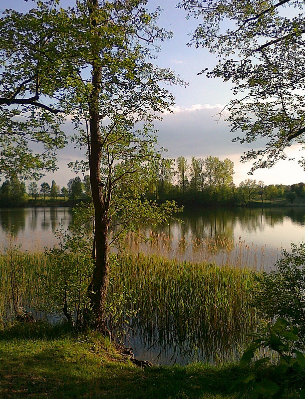 Widoczek znad jeziora