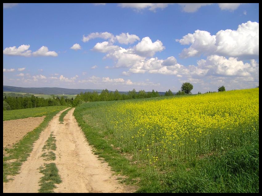 Wiosna