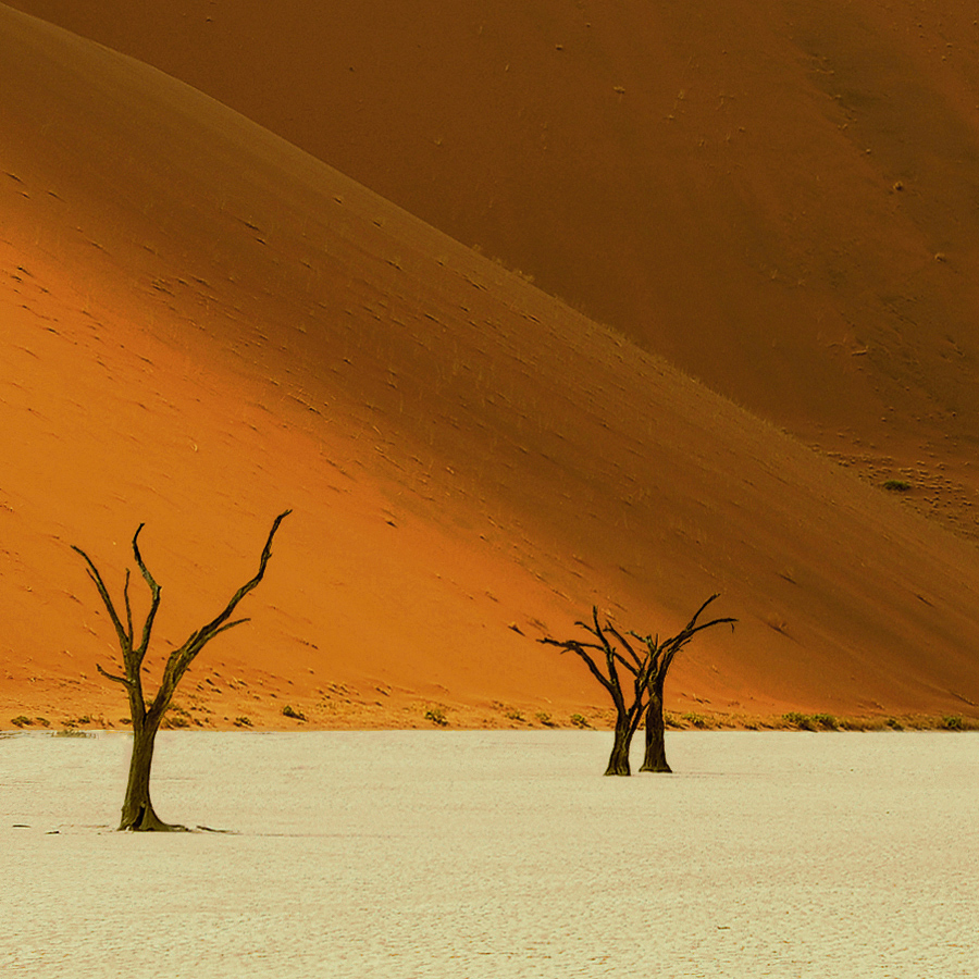 Dead Vlei