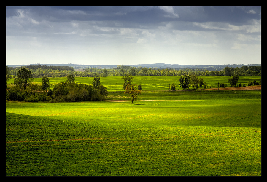 Spring Breeze...