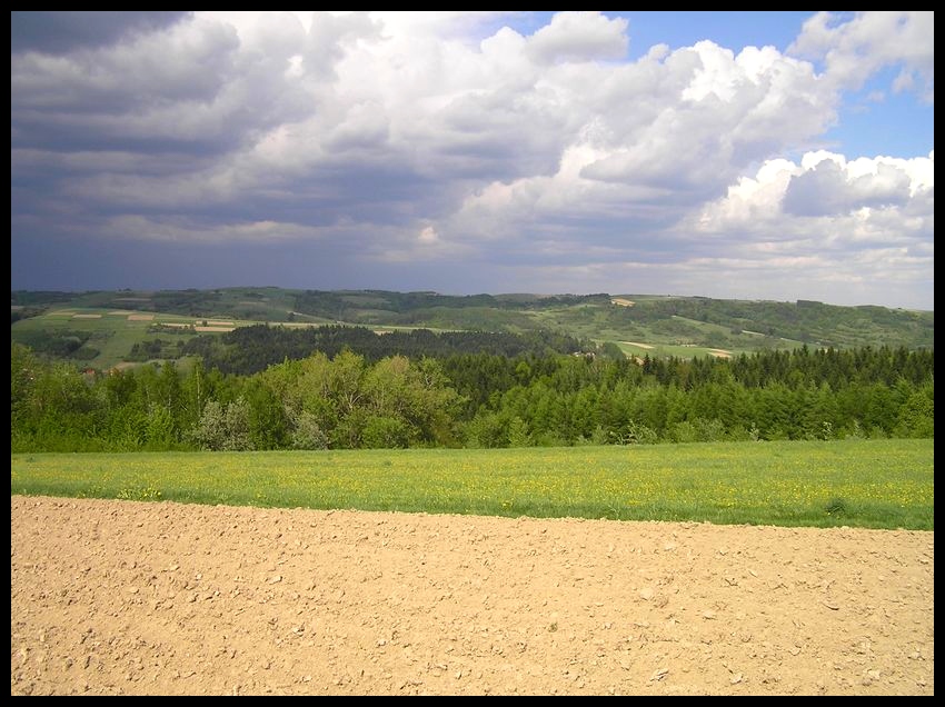 Wiosna