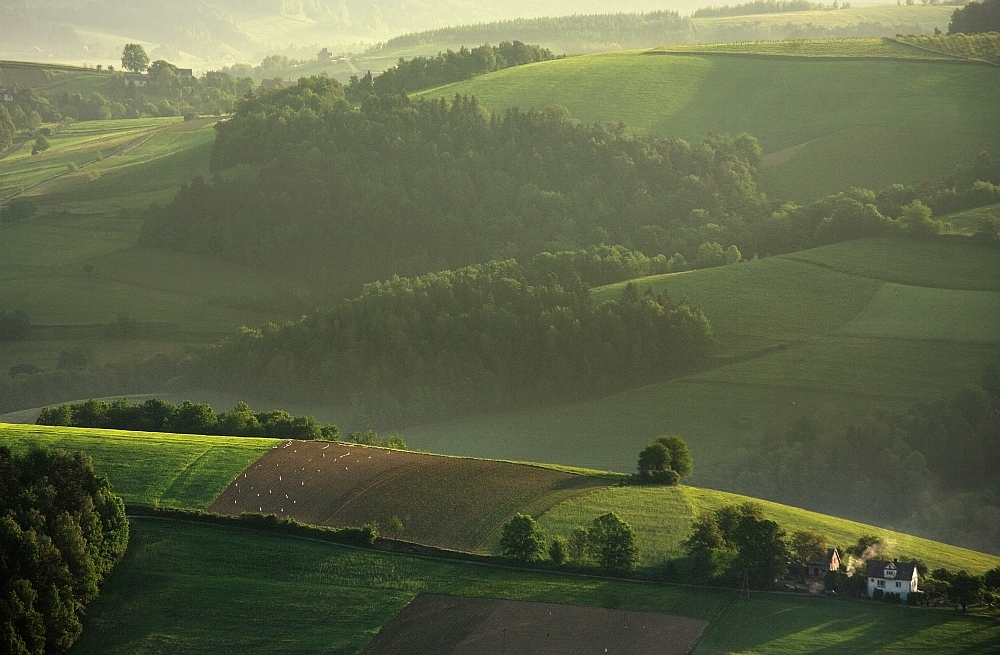 biały domek