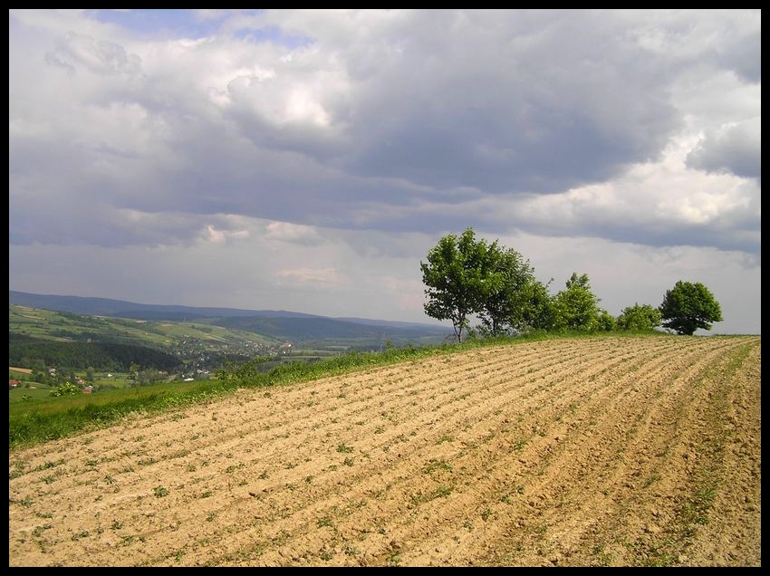 Wiosna