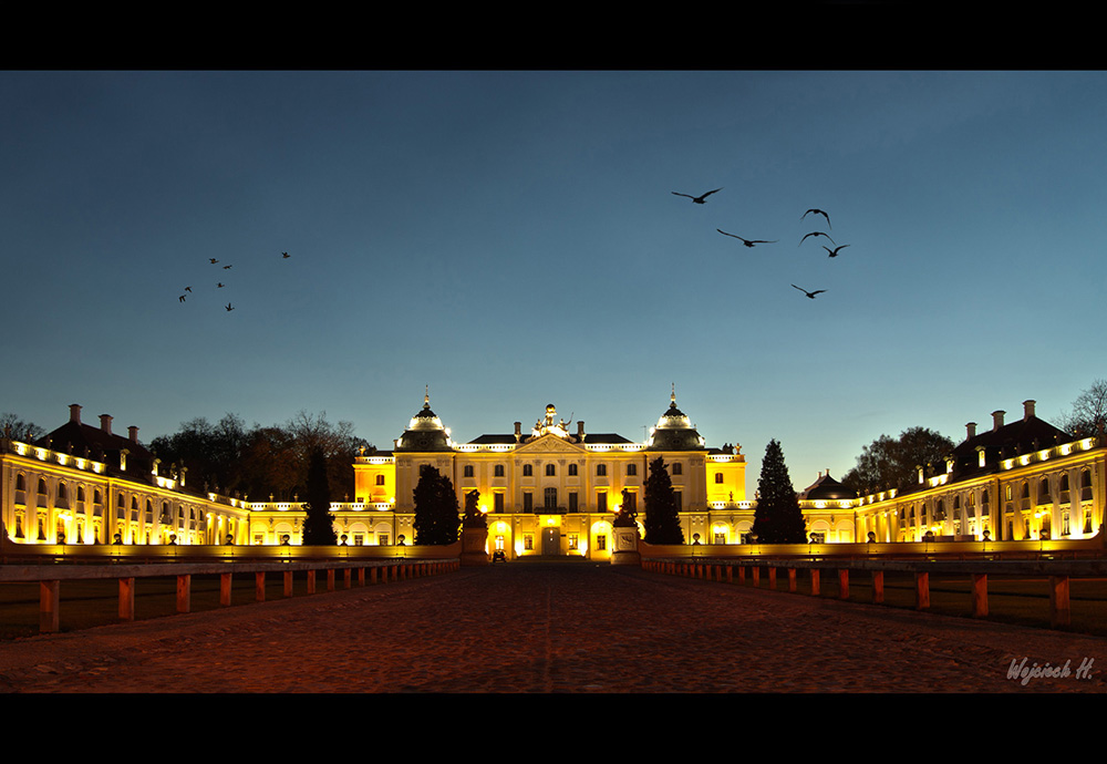 Symmetric Palace