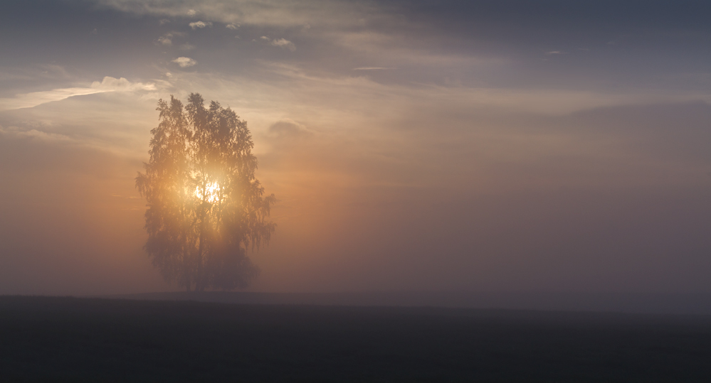 Touched by the light