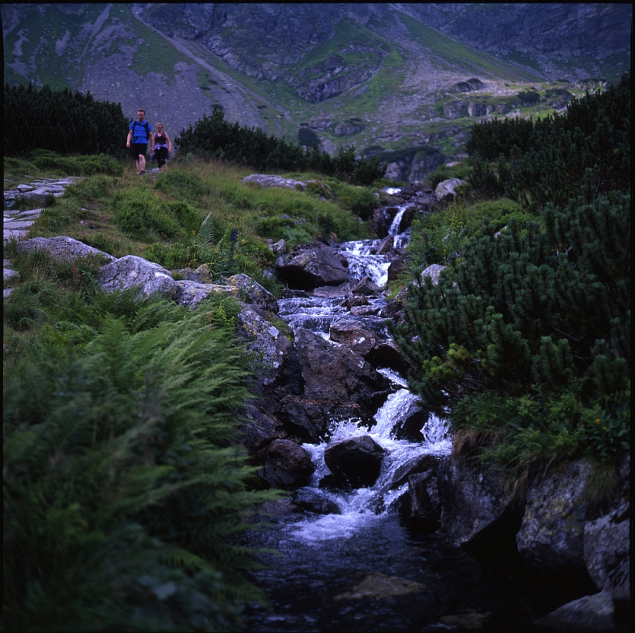 Tatry