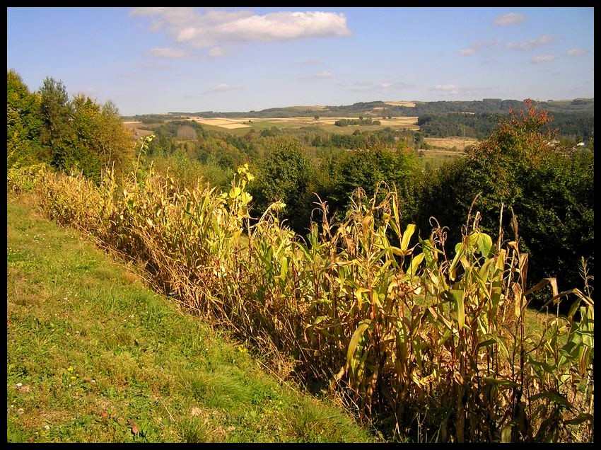 Wczesna jesień