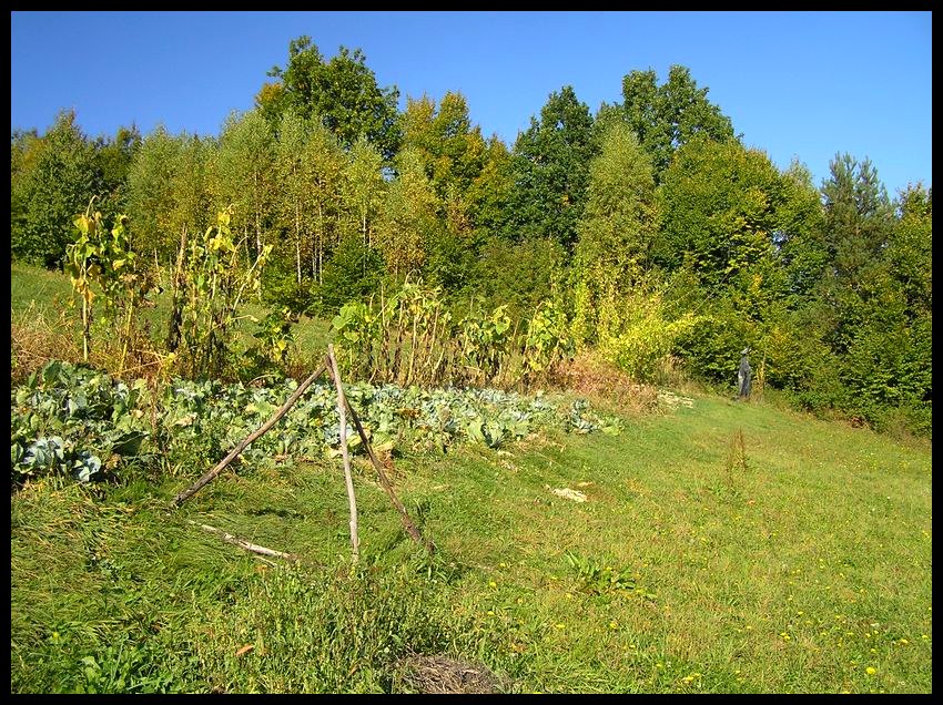 Wczesna jesień