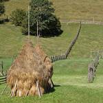 BUKOWINA (8)