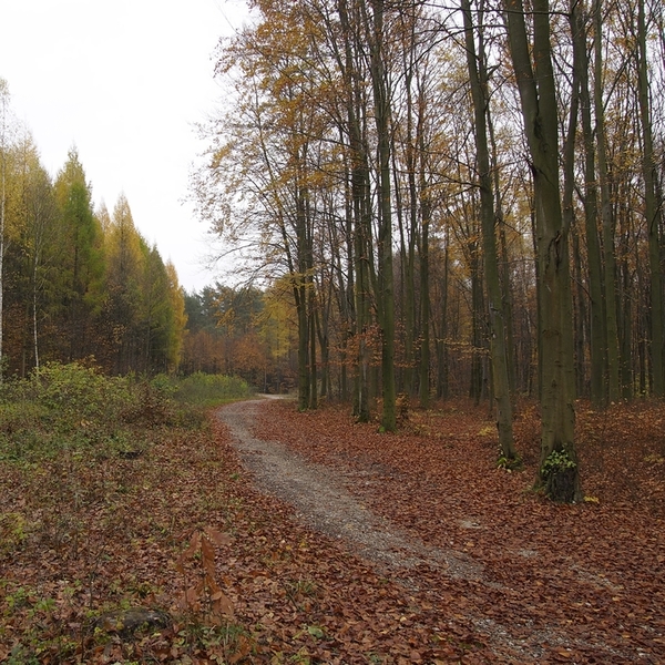 Jesień