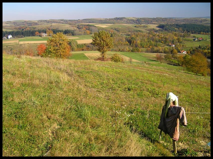 Jesień
