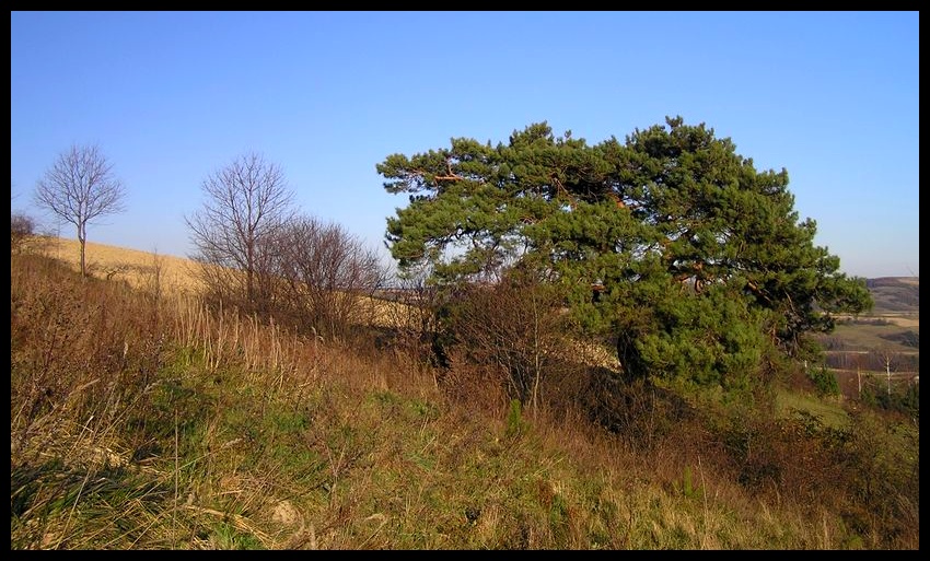 Jesień