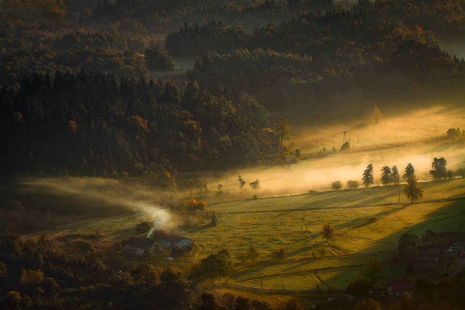 Fog & Mist Inc.