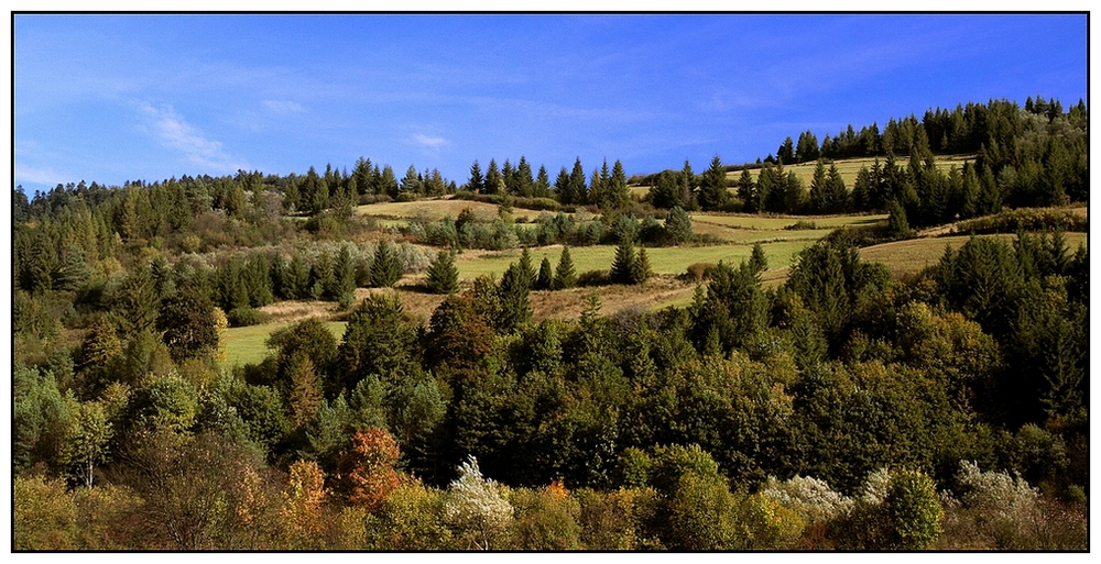 widoczek