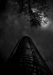 NIght Sky...
