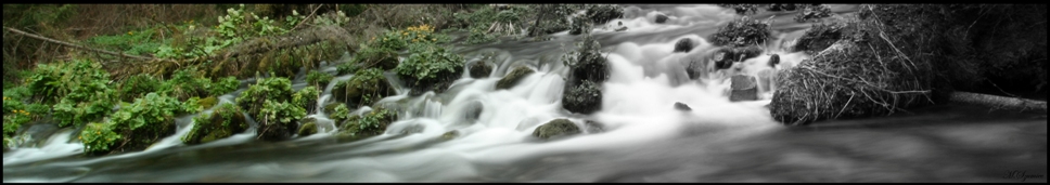 Waterfall B&W